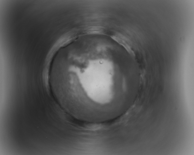 X0000094320293200711161935