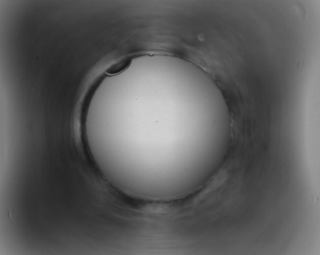 X0000094320294200711161935