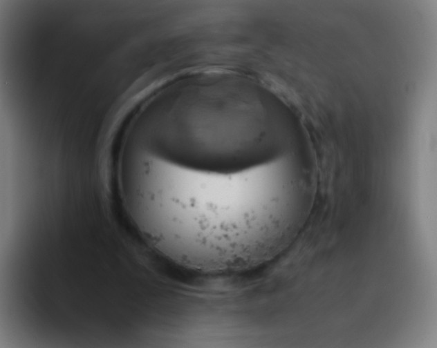 X0000094320295200711161935