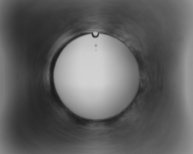 X0000094320296200711161935