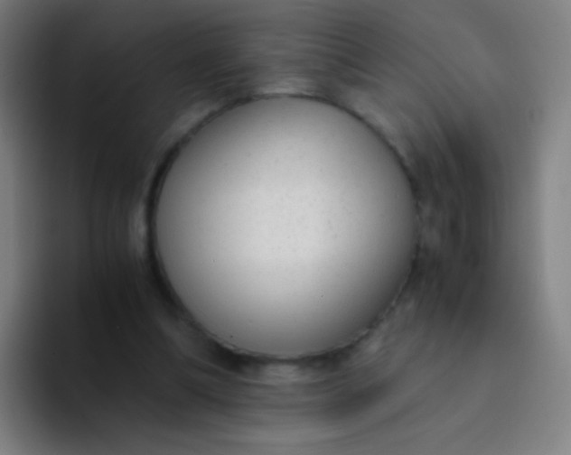 X0000094320298200711161935