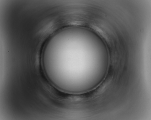 X0000094320299200711161935