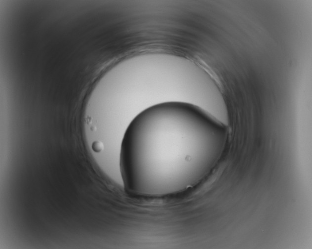 X0000094320301200711161935