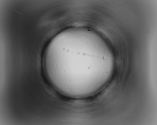 X0000094320303200711161935