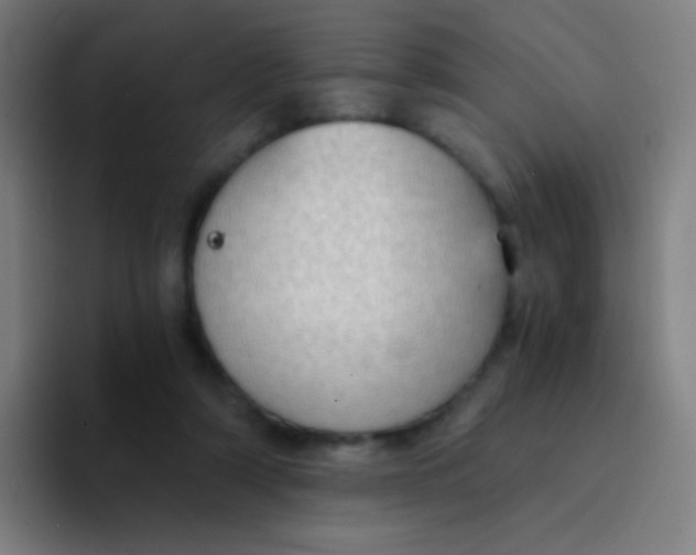 X0000094320306200711161935