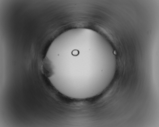 X0000094320307200711161935