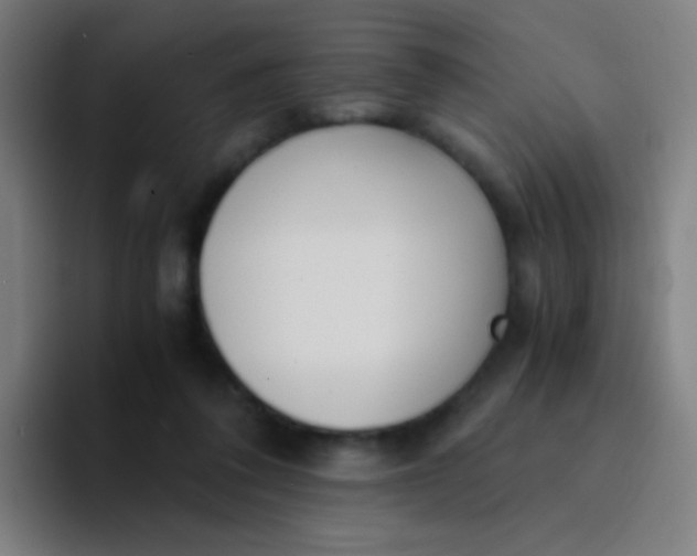 X0000094320308200711161935