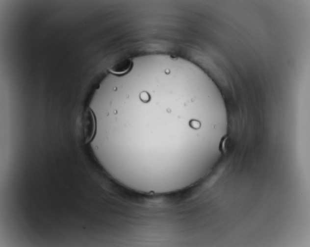 X0000094320309200711161935