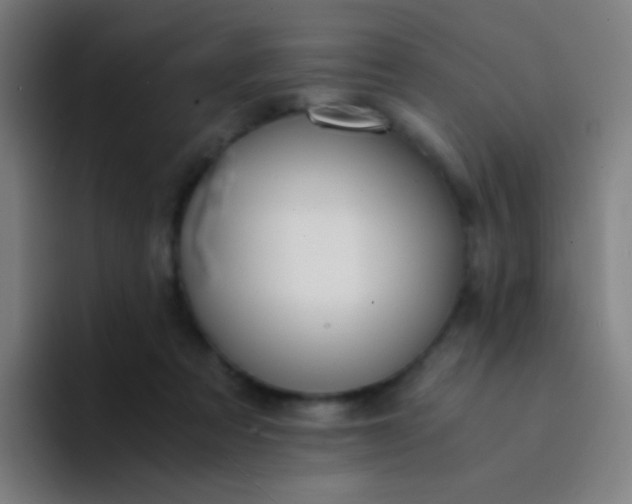 X0000094320313200711161935