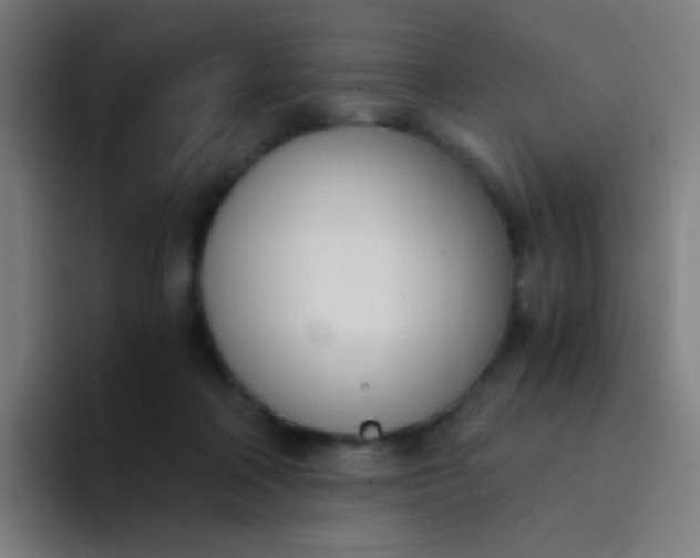 X0000094320314200711161935