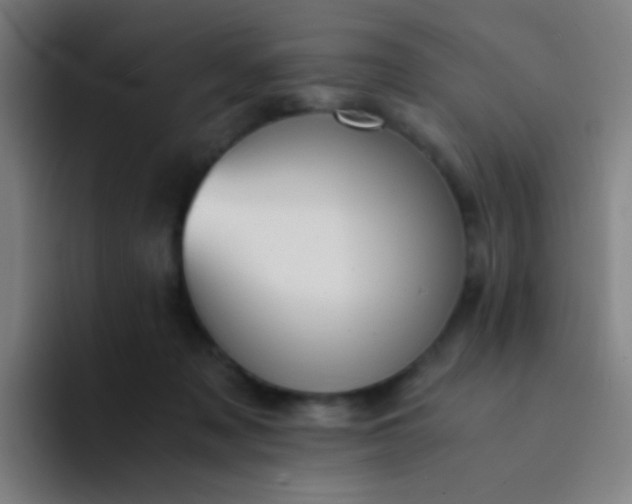 X0000094320317200711161935