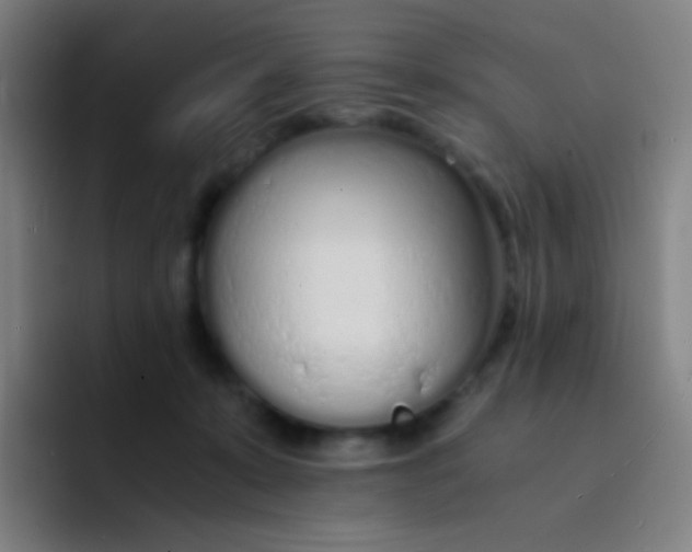X0000094320319200711161935