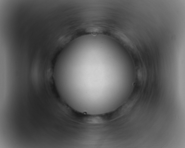 X0000094320322200711161935