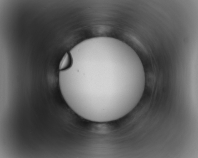 X0000094320324200711161935