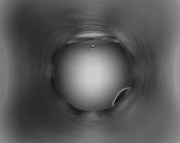 X0000094320325200711161935