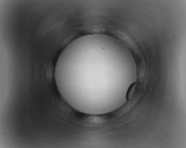 X0000094320326200711161935