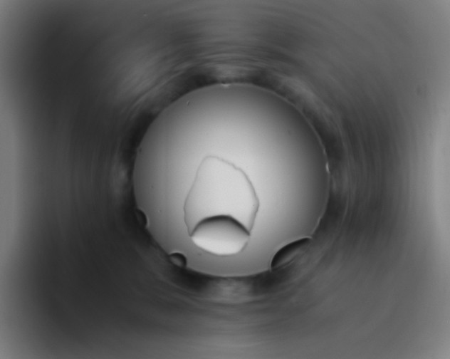 X0000094320327200711161935