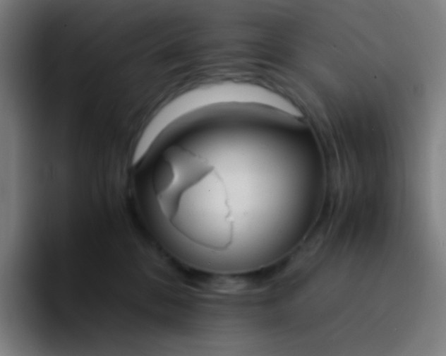 X0000094320328200711161935