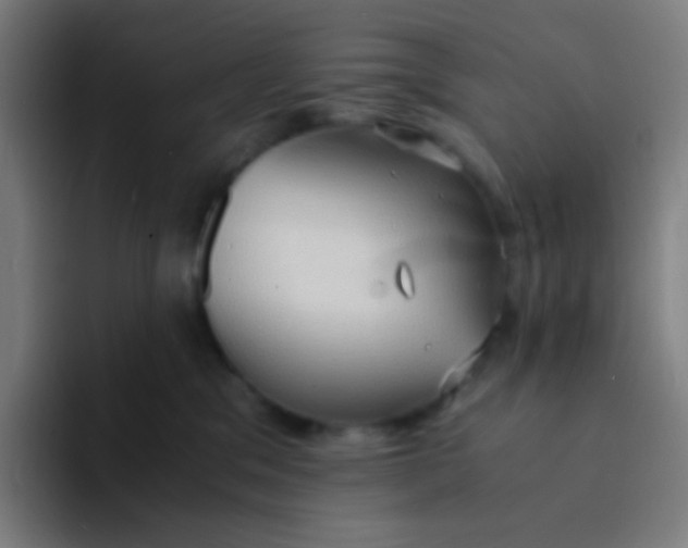 X0000094320329200711161935