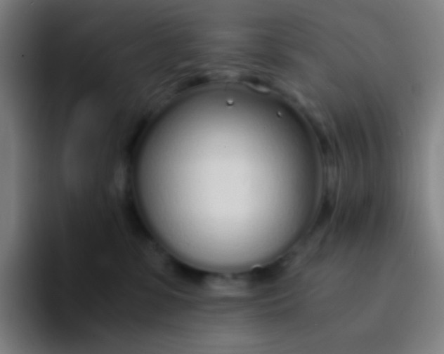 X0000094320331200711161935