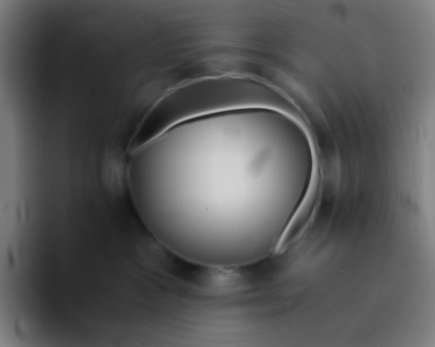 X0000094320333200711161935