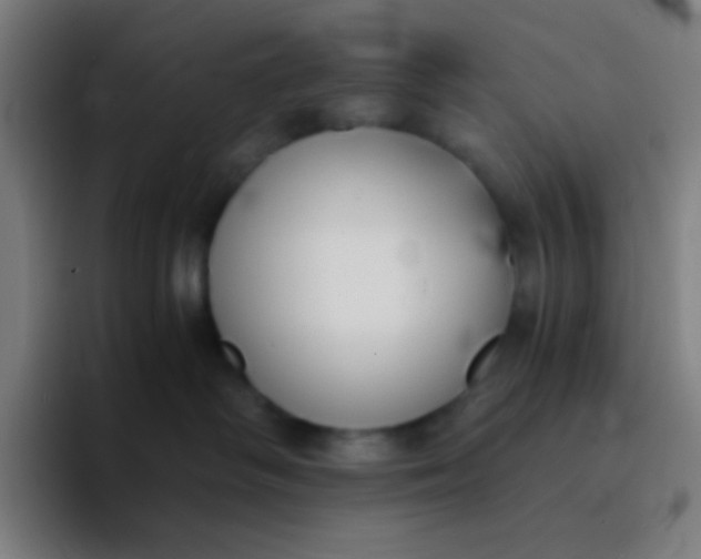 X0000094320334200711161935