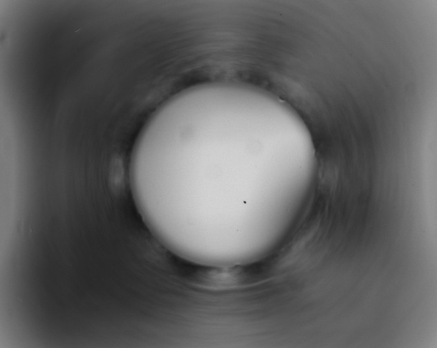 X0000094320335200711161935