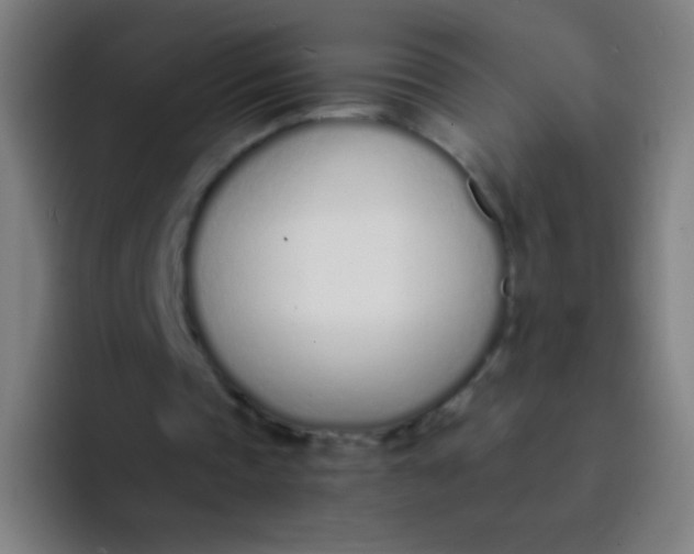 X0000094320337200711161934