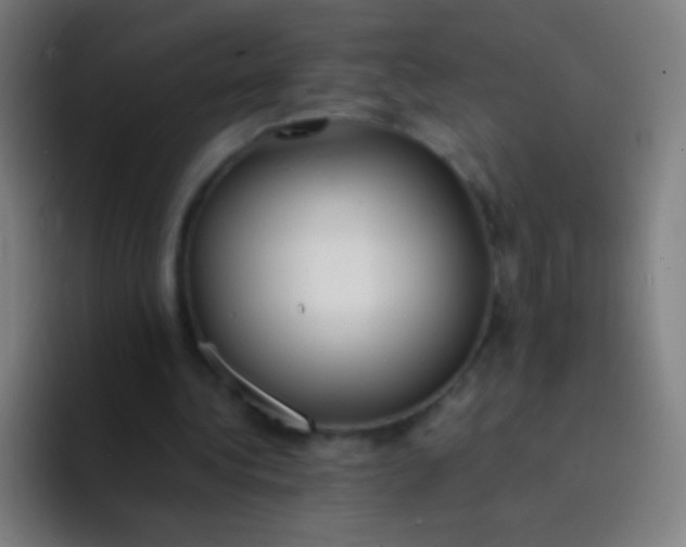 X0000094320340200711161934