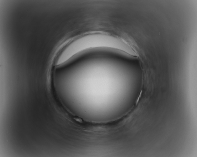 X0000094320344200711161934