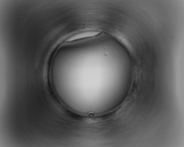 X0000094320346200711161934