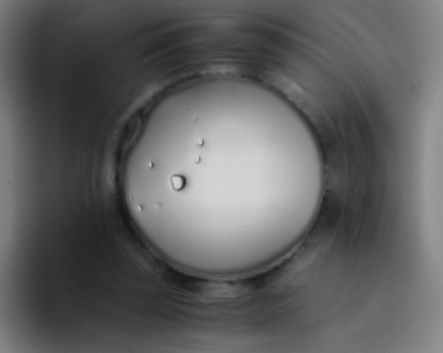 X0000094320347200711161934