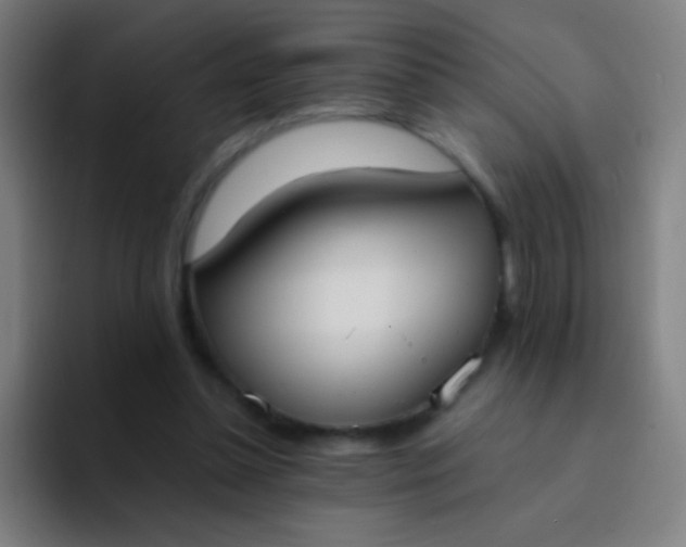 X0000094320348200711161934