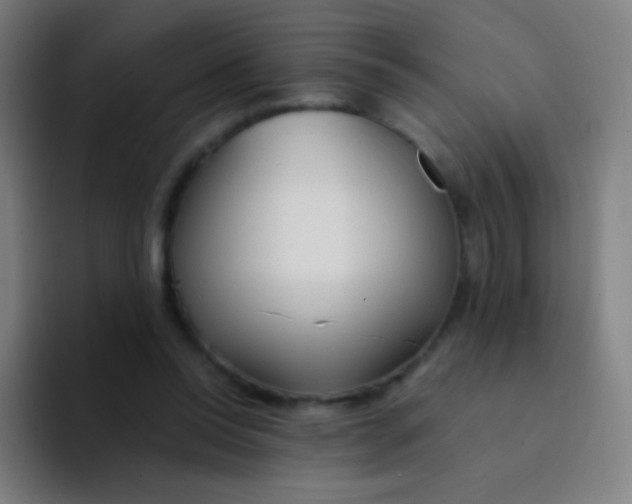 X0000094320350200711161934
