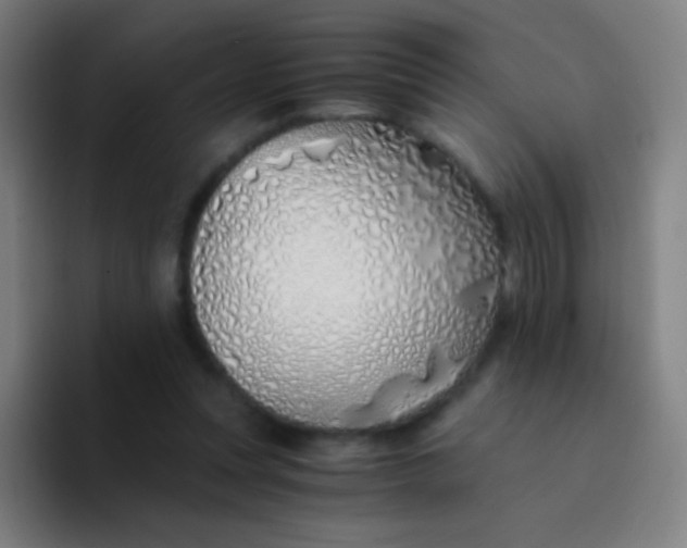 X0000094320351200711161934