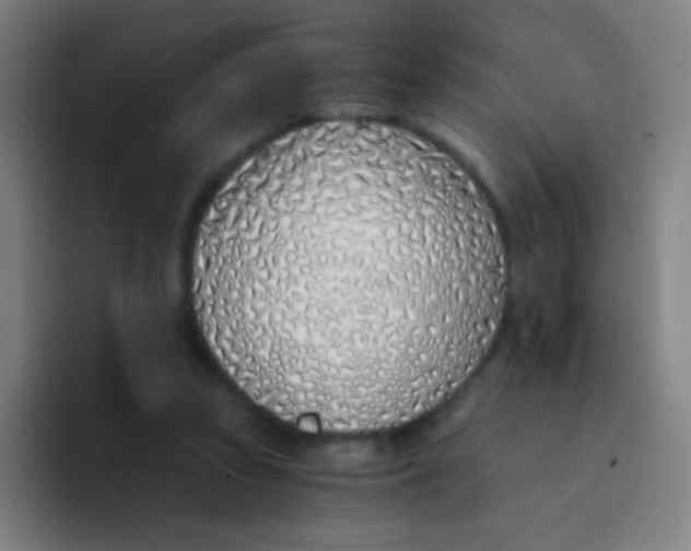 X0000094320353200711161934