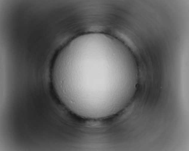 X0000094320354200711161934