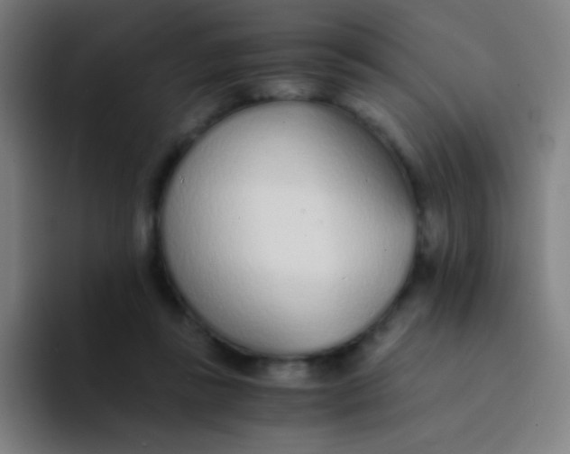 X0000094320355200711161934