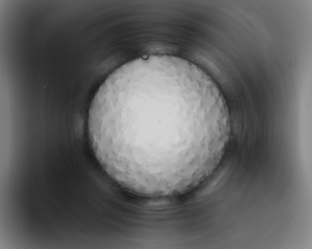 X0000094320357200711161934