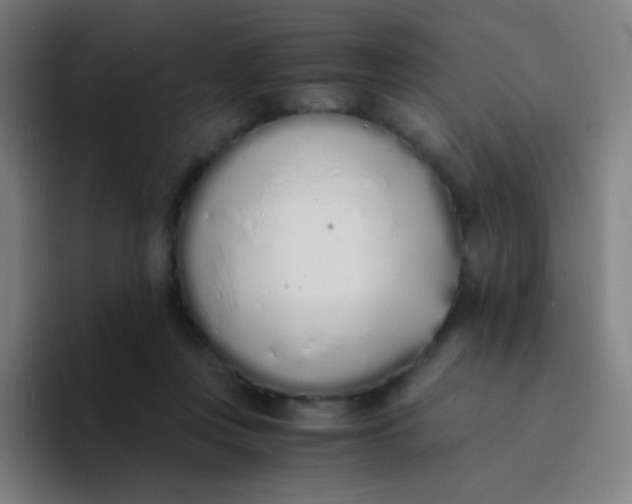 X0000094320359200711161934
