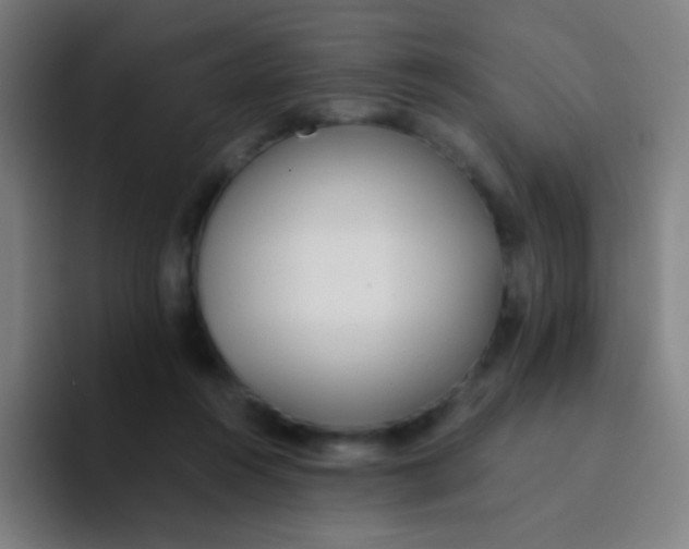 X0000094320360200711161934