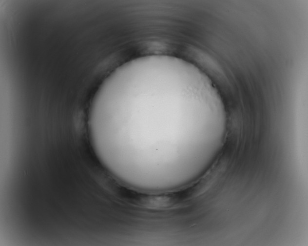X0000094320361200711161934