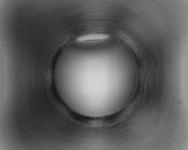 X0000094320362200711161934