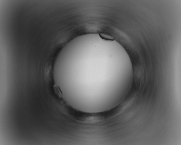 X0000094320364200711161934
