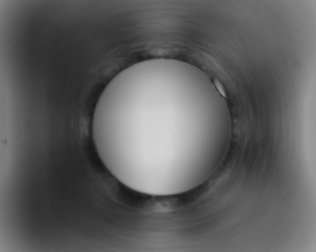 X0000094320368200711161934
