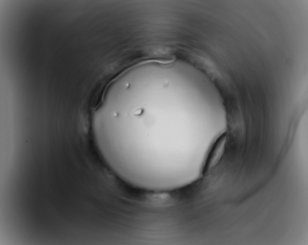 X0000094320374200711161934