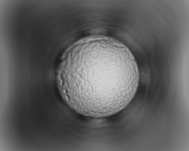 X0000094320375200711161934