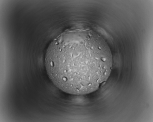 X0000094320377200711161934