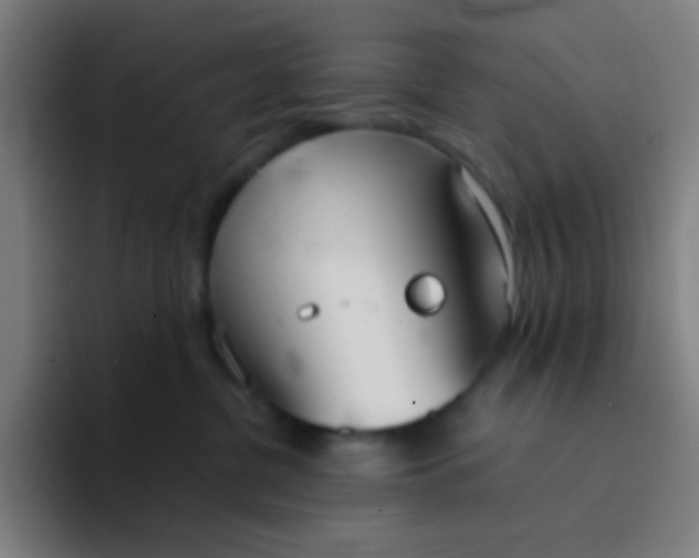 X0000094320380200711161934