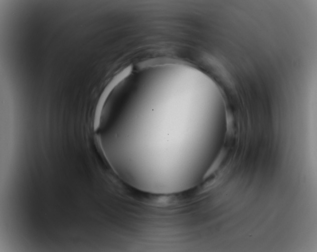 X0000094320382200711161935